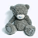 Tatty Teddy bear